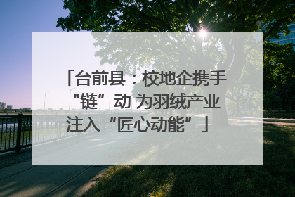 台前县：校地企携手“链”动 为羽绒产业注入“匠心动能”