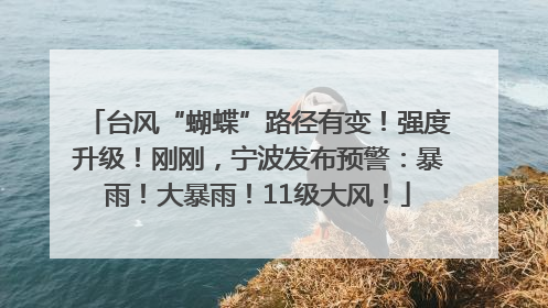 台风“蝴蝶”路径有变！强度升级！刚刚，宁波发布预警：暴雨！大暴雨！11级大风！