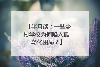 半月谈：一些乡村学校为何陷入孤岛化困局？