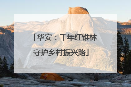 华安：千年红锥林守护乡村振兴路