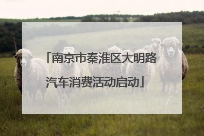 南京市秦淮区大明路汽车消费活动启动