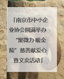 南京市中小企业协会圆满举办“聚微力·暖金陵”慈善献爱心暨义卖活动