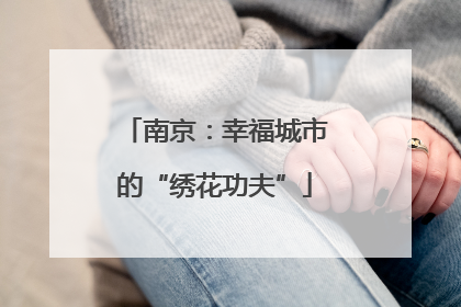 南京：幸福城市的“绣花功夫”