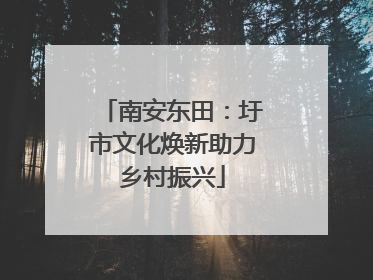 南安东田：圩市文化焕新助力乡村振兴