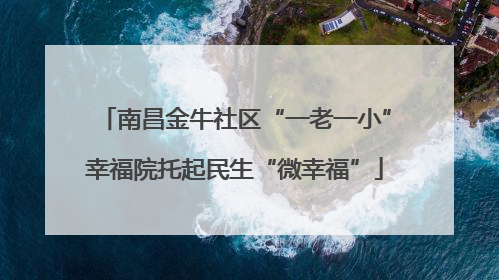 南昌金牛社区“一老一小”幸福院托起民生“微幸福”