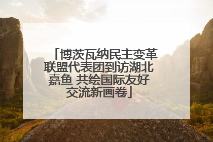 博茨瓦纳民主变革联盟代表团到访湖北嘉鱼 共绘国际友好交流新画卷