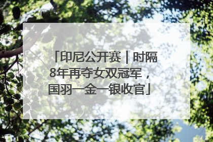 印尼公开赛｜时隔8年再夺女双冠军，国羽一金一银收官