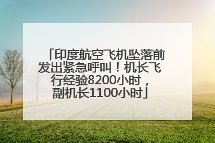 印度航空飞机坠落前发出紧急呼叫！机长飞行经验8200小时，副机长1100小时
