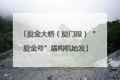 厦金大桥（厦门段）“厦金号”盾构机始发