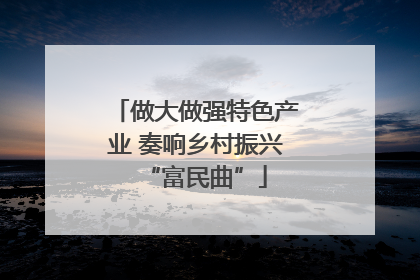 做大做强特色产业 奏响乡村振兴“富民曲”