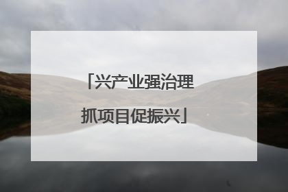 兴产业强治理 抓项目促振兴