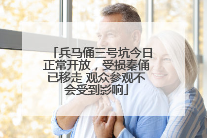 兵马俑三号坑今日正常开放，受损秦俑已移走 观众参观不会受到影响