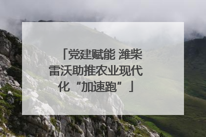 党建赋能 潍柴雷沃助推农业现代化“加速跑”