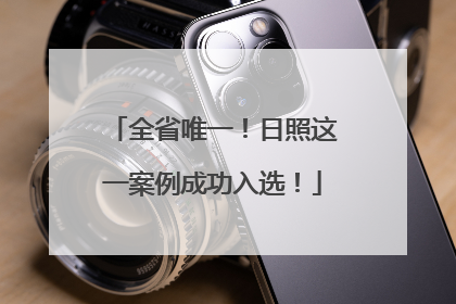 全省唯一！日照这一案例成功入选！