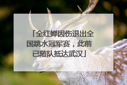 全红婵因伤退出全国跳水冠军赛，此前已随队抵达武汉
