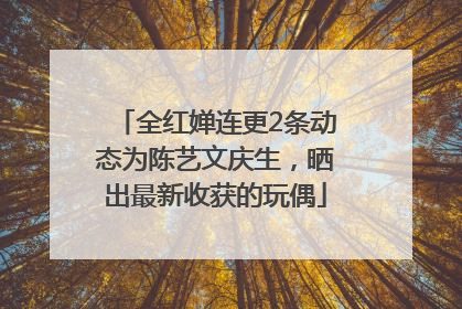 全红婵连更2条动态为陈艺文庆生，晒出最新收获的玩偶