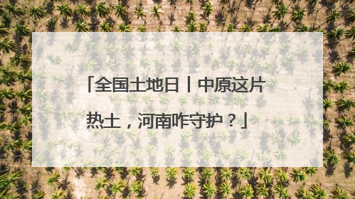 全国土地日丨中原这片热土，河南咋守护？