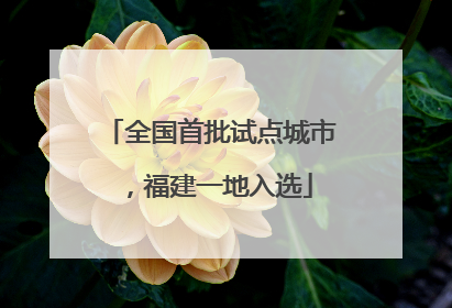全国首批试点城市，福建一地入选