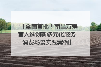 全国首批！南昌万寿宫入选创新多元化服务消费场景实践案例
