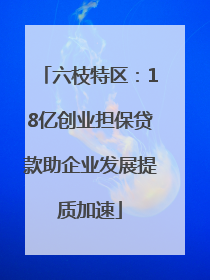 六枝特区：18亿创业担保贷款助企业发展提质加速