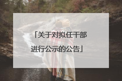 关于对拟任干部进行公示的公告