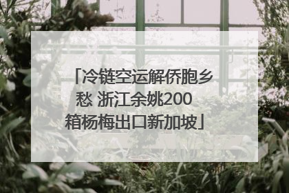 冷链空运解侨胞乡愁 浙江余姚200箱杨梅出口新加坡
