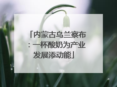 内蒙古乌兰察布：一杯酸奶为产业发展添动能