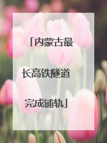 内蒙古最长高铁隧道完成铺轨