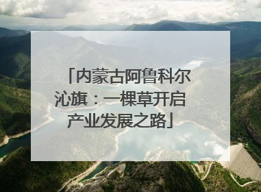 内蒙古阿鲁科尔沁旗：一棵草开启产业发展之路