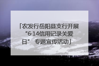 农发行岳阳县支行开展“6·14信用记录关爱日” 专题宣传活动