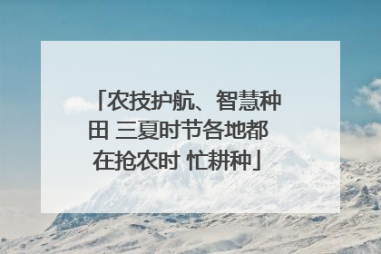 农技护航、智慧种田 三夏时节各地都在抢农时 忙耕种