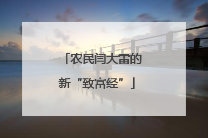 农民闫大雷的新“致富经”