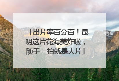 出片率百分百！昆明这片花海美炸啦，随手一拍就是大片