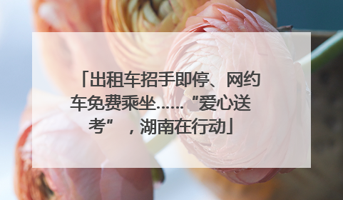 出租车招手即停、网约车免费乘坐……“爱心送考”，湖南在行动