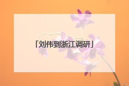 刘伟到浙江调研