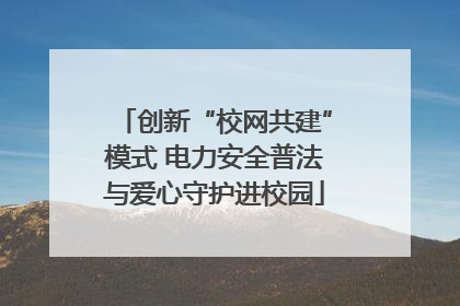 创新“校网共建”模式 电力安全普法与爱心守护进校园