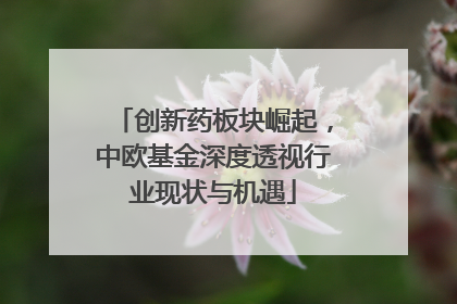 创新药板块崛起，中欧基金深度透视行业现状与机遇