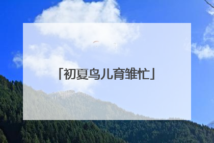 初夏鸟儿育雏忙