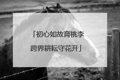 初心如故育桃李 跨界耕耘守花开