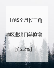 前5个月长三角地区进出口总值增长5.2%