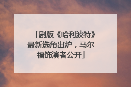 剧版《哈利波特》最新选角出炉，马尔福饰演者公开