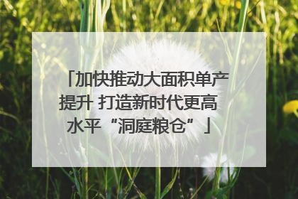 加快推动大面积单产提升 打造新时代更高水平“洞庭粮仓”
