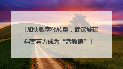 加快数字化转型，武汉城建档案着力成为“活数据”