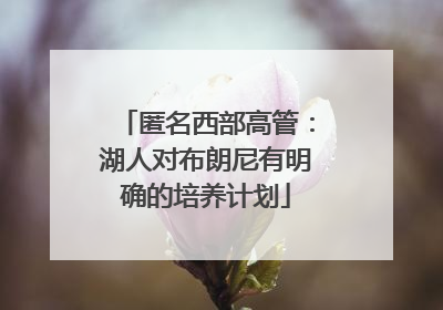 匿名西部高管：湖人对布朗尼有明确的培养计划