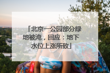 北京一公园部分绿地被淹，回应：地下水位上涨所致
