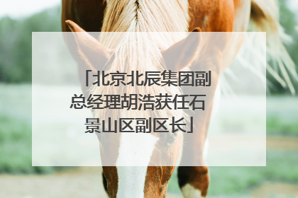 北京北辰集团副总经理胡浩获任石景山区副区长