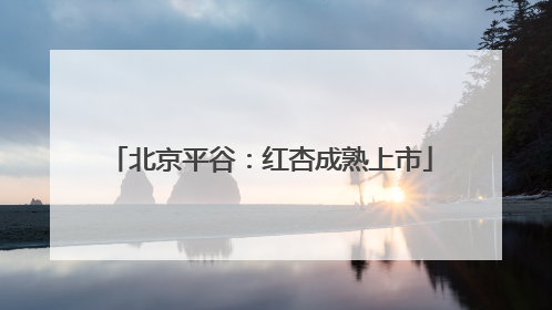 北京平谷：红杏成熟上市