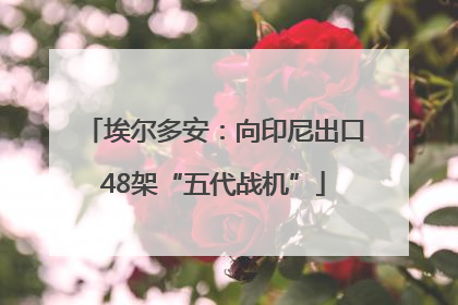 埃尔多安：向印尼出口48架“五代战机”