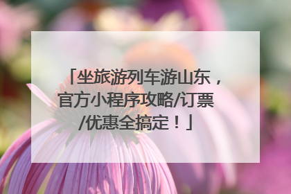 坐旅游列车游山东，官方小程序攻略/订票/优惠全搞定！
