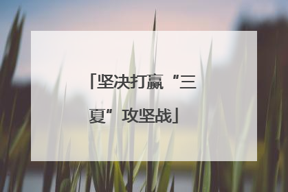 坚决打赢“三夏”攻坚战
